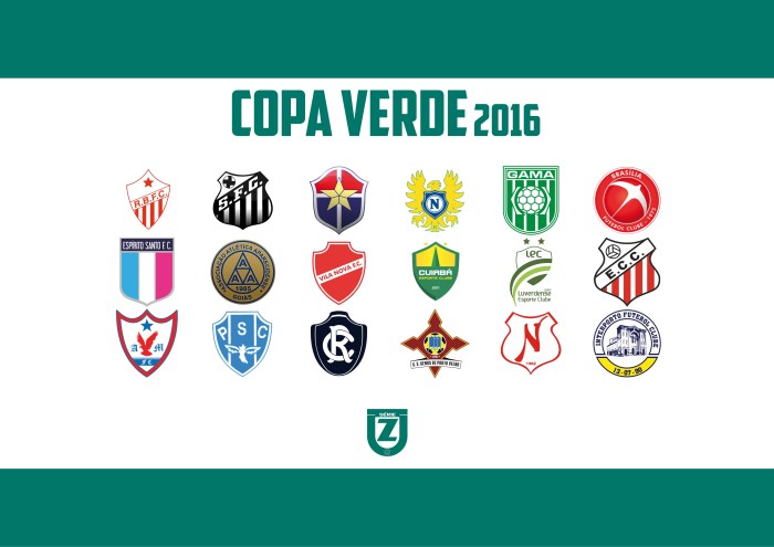 2016 COPA VERDE ARTE